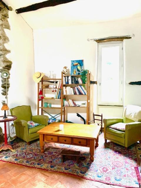 Grande Maison Cevenole Authentique Holiday home Valleraugue