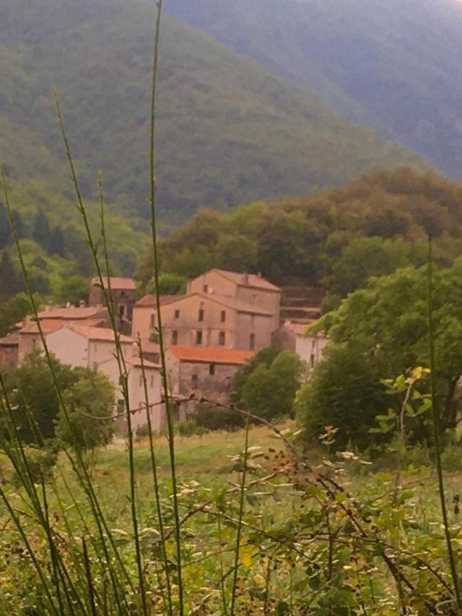 Grande Maison Cevenole Authentique * Valleraugue