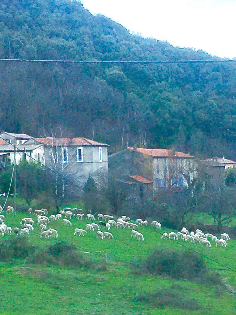 Holiday home Grande Maison Cevenole Authentique *